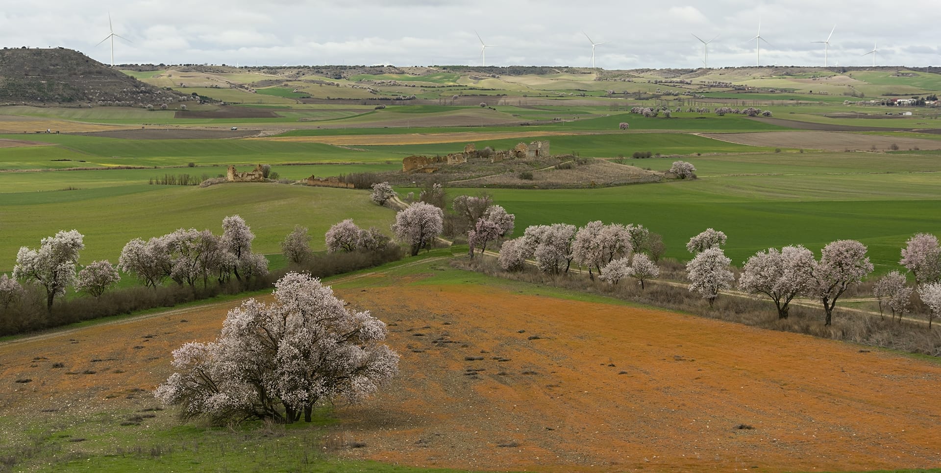 Así de bonito luce nuestro pueblo, Villaviudas, esperando la primavera.
